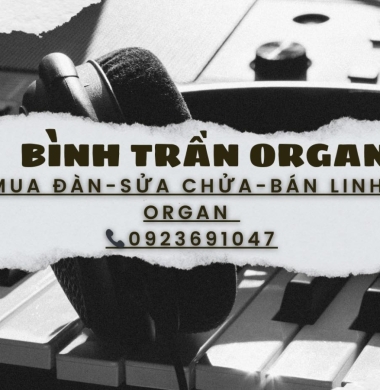 Sửa Chữa Đàn Organ Quận Tân Bình. TPHCM. 0923691047